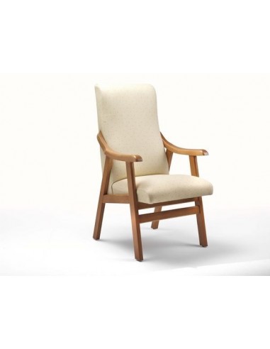 Sillón Geriátrico