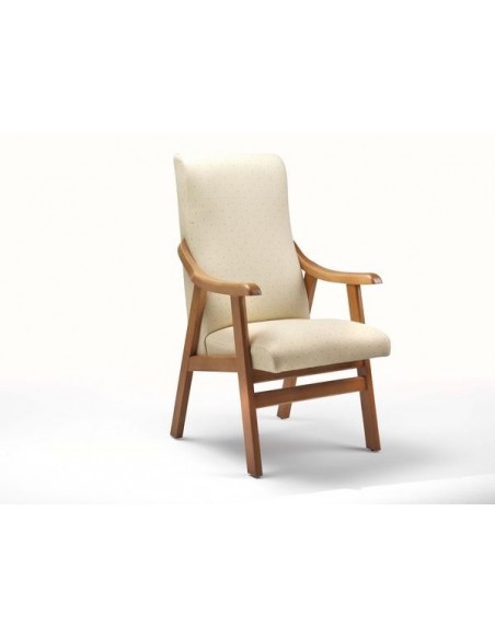 Sillón Geriátrico
